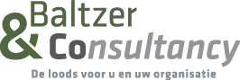 Baltzer&Consultancy